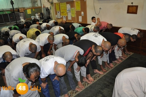 msajed amer qder 804 (42).JPG